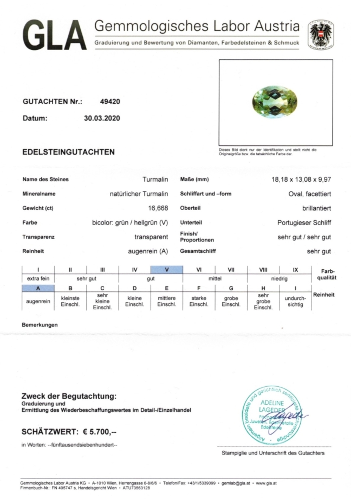 Bicolor Turmalin Ovalschliff grün+hellgrün 16,668 ct