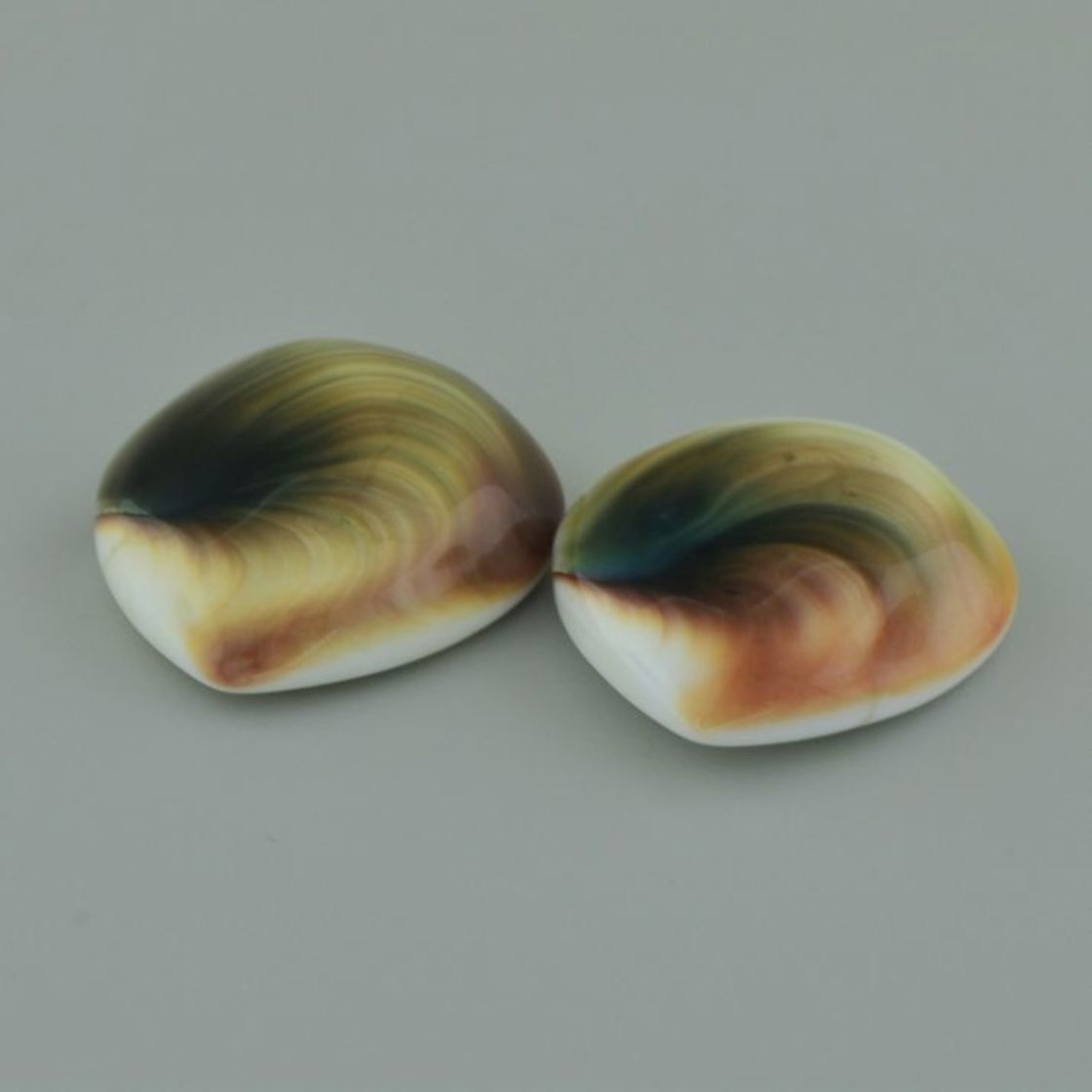 Operculum Pair pear multicolor 55.04 ct
