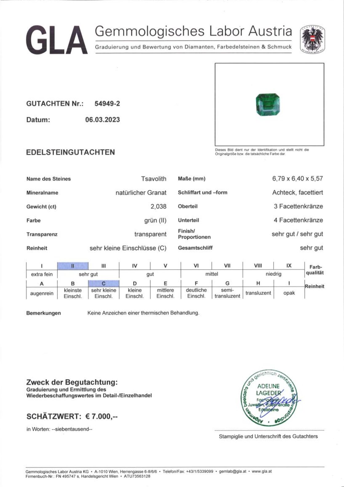 Gutachten zu Tsavorite Garnet octagon intense green 2.03 ct