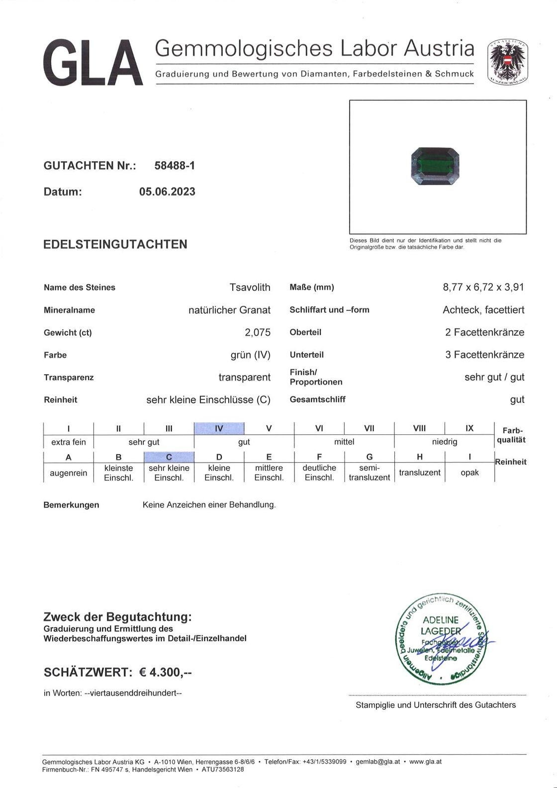Gutachten zu Tsavorite Garnet octagon dunkles green 2.07 ct.