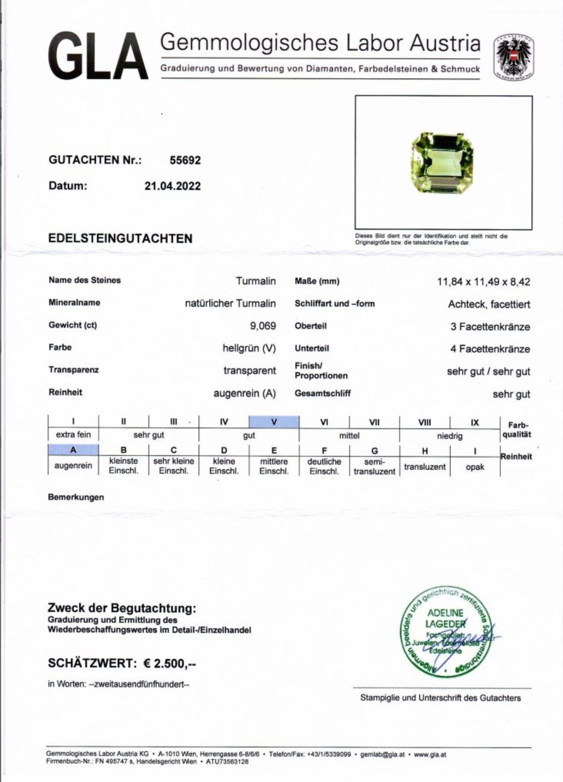 Gutachten zu Tourmaline octagon bluish light green 9.06 ct.