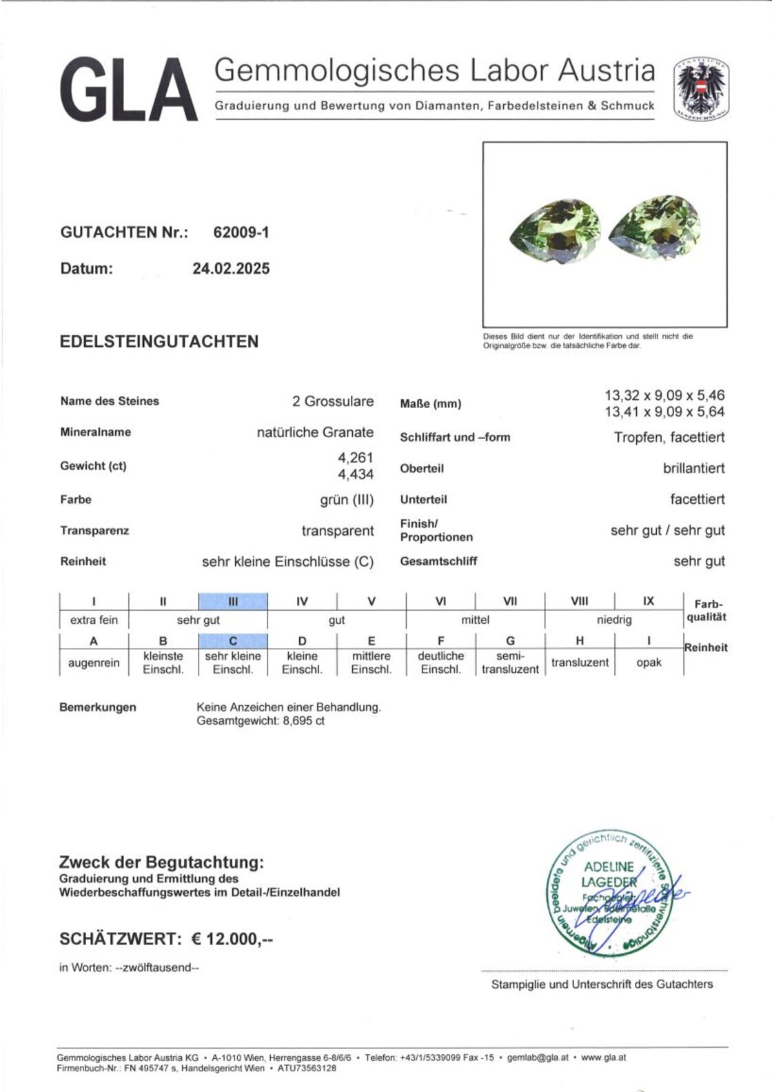 Gutachten zu Garnet Pair Grossulare pear green 8.69 ct.