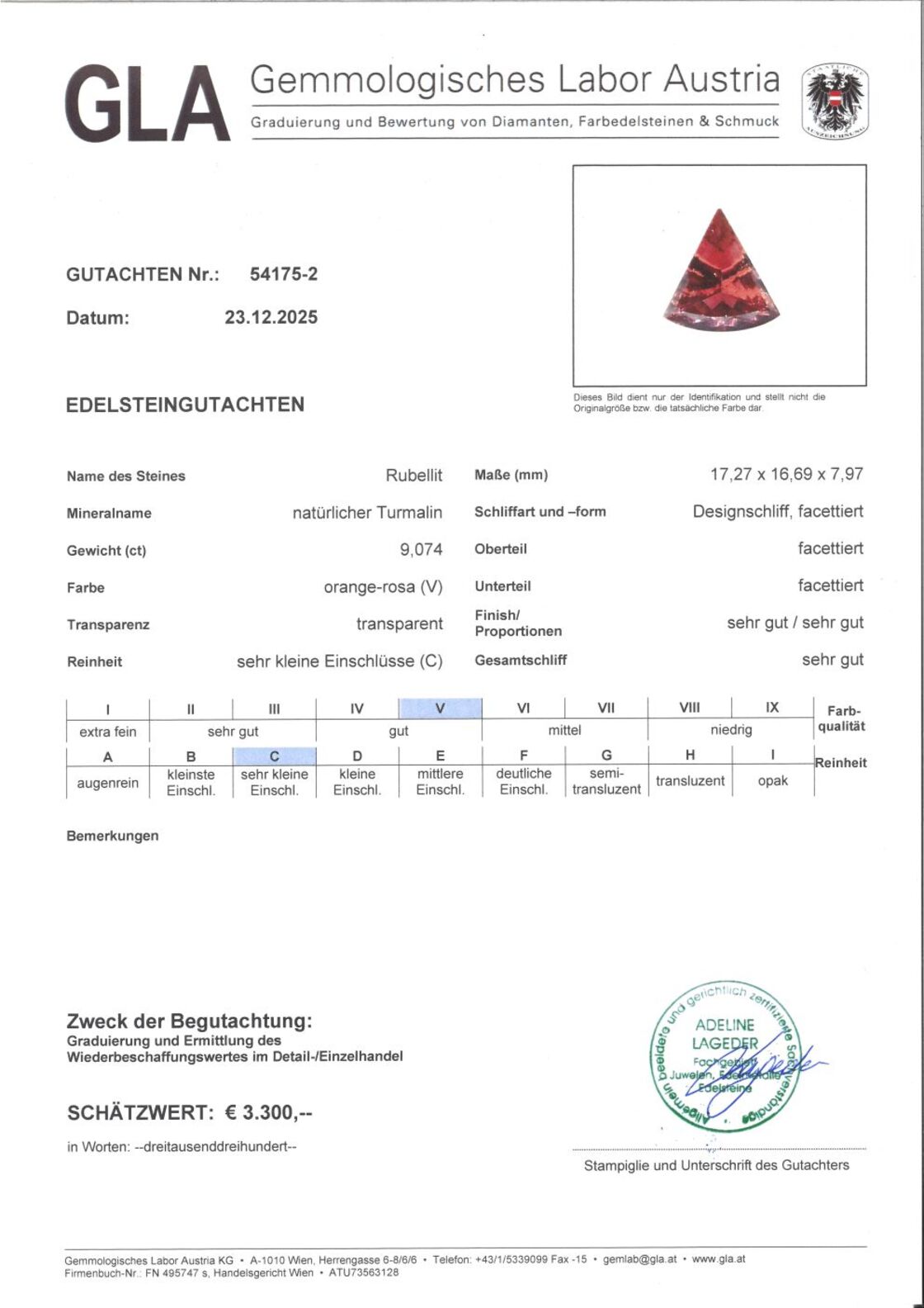 Gutachten zu Rubellit Turmalin Design-Trillion 9,07 ct