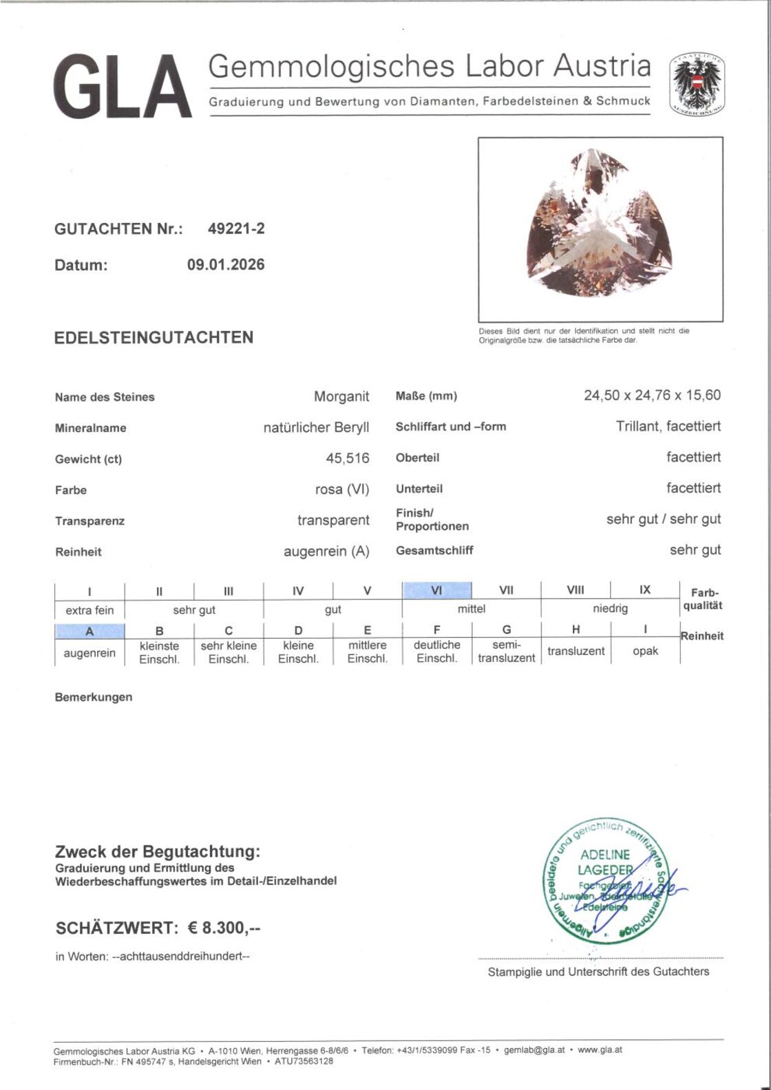 Gutachten zu Morganite trillion 45.51 ct