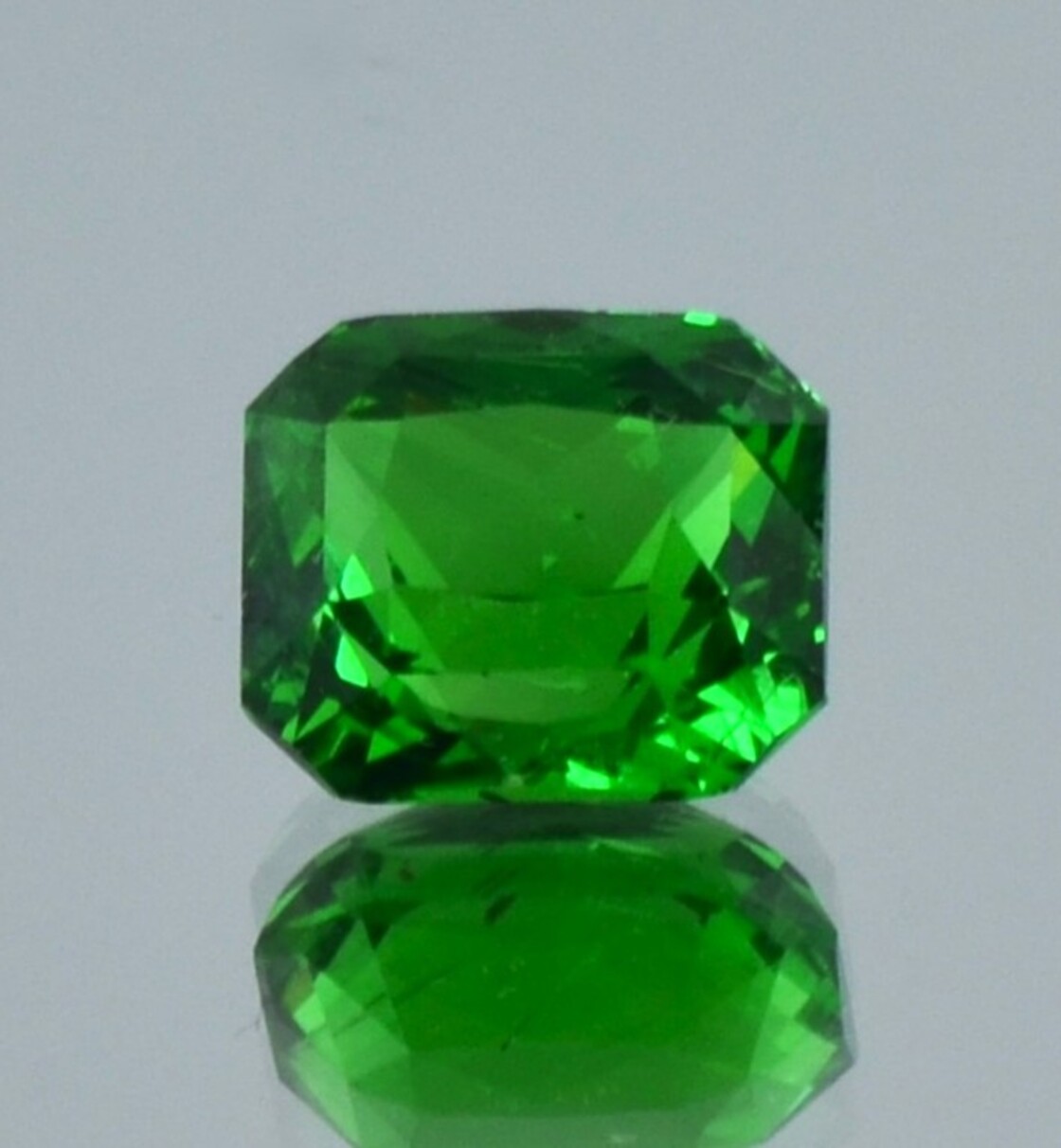 Tsavorite Garnet octagon-princess intense green 3.54 ct.