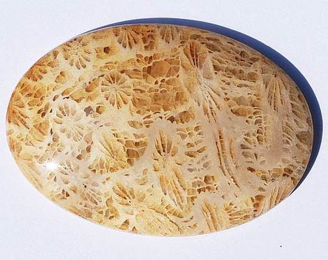 Fossils oval 46.21 ct Fossils oval 46.21 ct