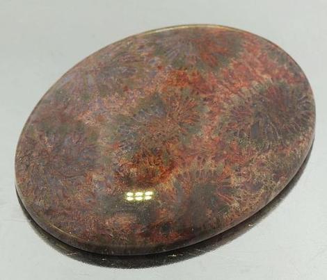 Fossils oval 58.75 ct Fossils oval 58.75 ct