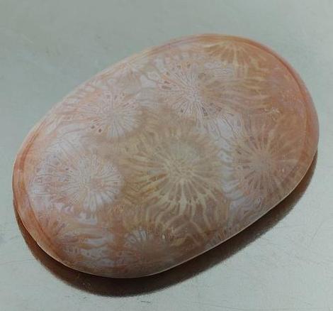 Fossils oval 51.42 ct Fossils oval 51.42 ct