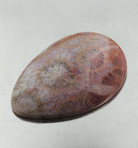 Fossils pear 43.90 ct Fossils pear 43.90 ct
