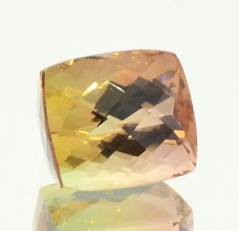 Bicolor Tourmaline cushion-checkerboard 7.16 ct Bicolor Tourmaline cushion-checkerboard 7.16 ct