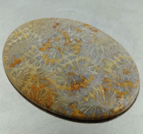 Fossils oval 42.90 ct Fossils oval 42.90 ct