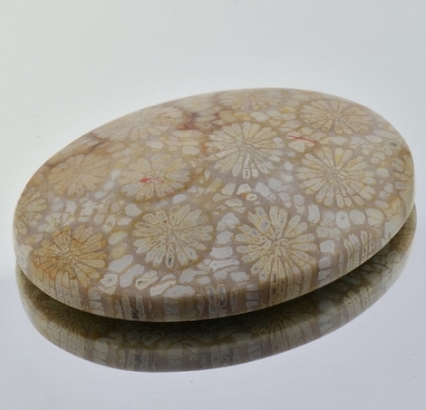 Fossils oval 58.88 ct Fossils oval 58.88 ct