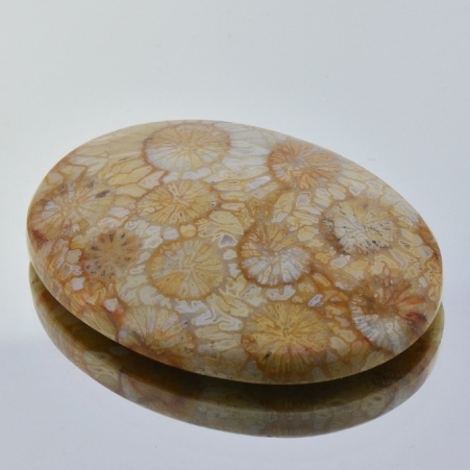Fossils oval 49.58 ct Fossils oval 49.58 ct