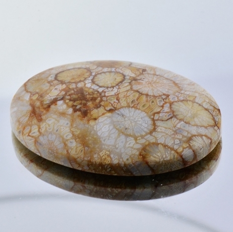 Fossils oval 60.07 ct Fossils oval 60.07 ct