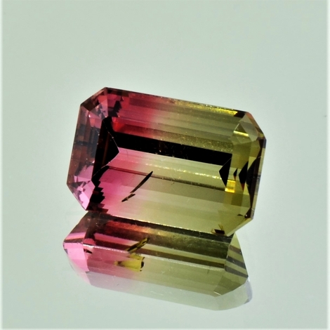 Bicolor-Turmalin octagon 8.31 ct Bicolor-Turmalin octagon 8.31 ct