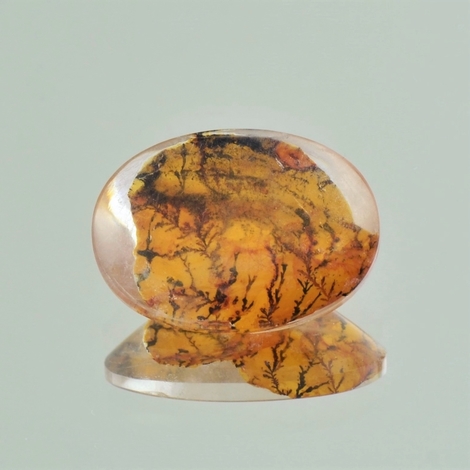 Dendritenquarz, Oval (8,99 ct.) aus Brasilien