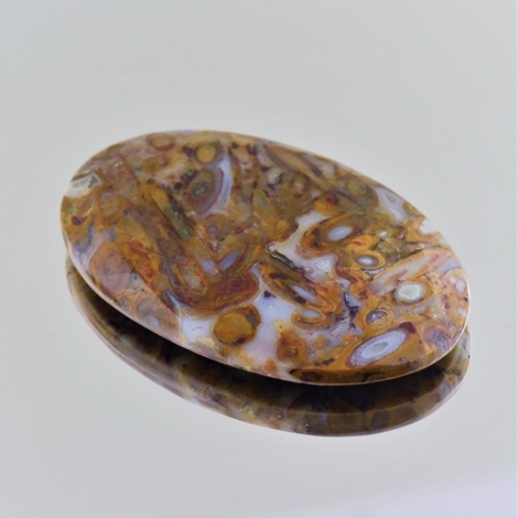 Fossilien oval 48,79 ct Fossilien oval 48,79 ct