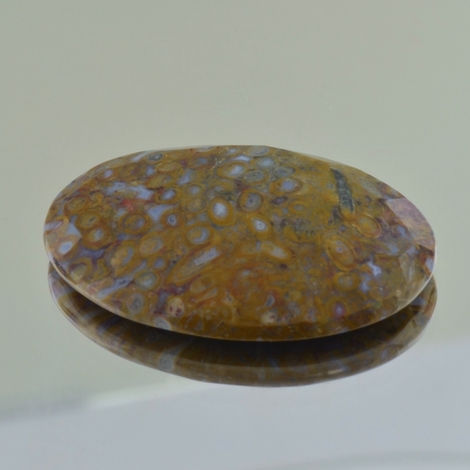 Fossilien oval 48,79 ct Fossilien oval 48,79 ct