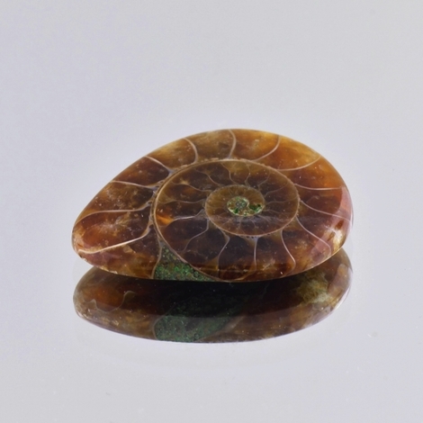 Fossilien, Tropfen (25,11 ct.) aus Marokko Fossilien, Tropfen (25,11 ct.) aus Marokko