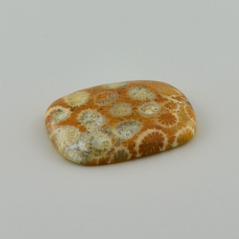 Versteinerte Korallen Cabochon antik 44,68 ct