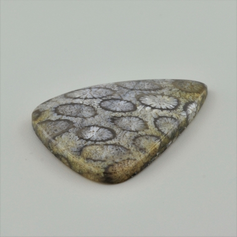 Fossilien, Tropfen (51,63 ct.) aus Indonesien (Java)