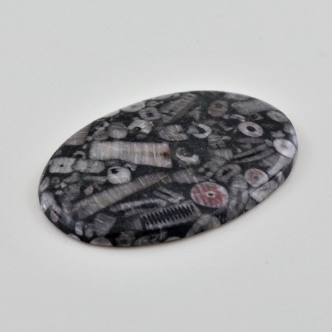 Fossils cabochon oval 39.93 ct Fossils cabochon oval 39.93 ct