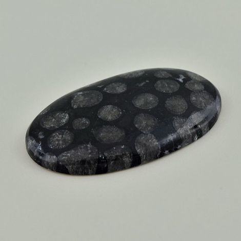Versteinerte Korallen Cabochon oval 60,41 ct