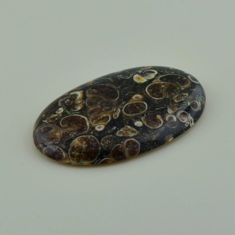 Fossils cabochon oval brown 57.32 ct