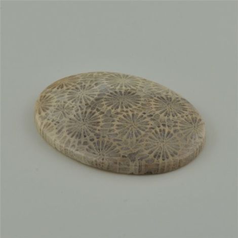 Versteinerte Korallen Cabochon oval beige 48,29 ct