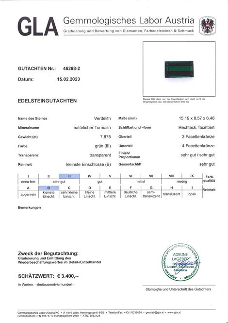 Gutachten zu Verdelith Turmalin Rechteck grün 7,87 ct.