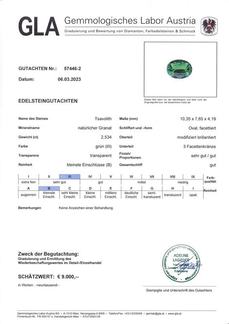 Gutachten zu Tsavorite Garnet Ovalschliff intense green 2.53 ct