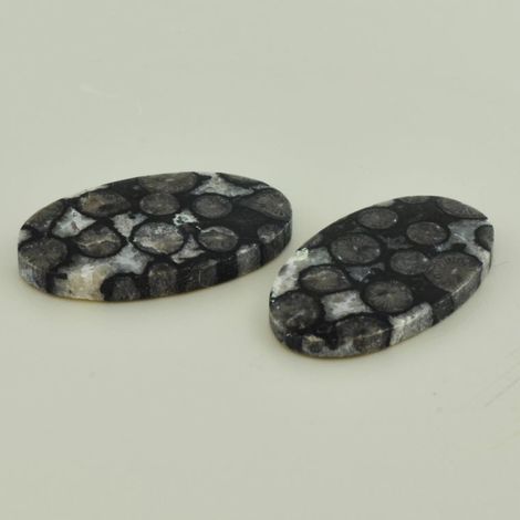 Fossilien Duo oval 40,60 ct