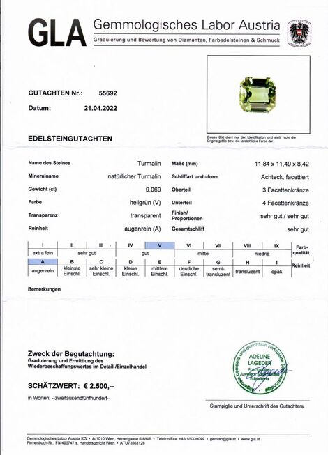 Gutachten zu Tourmaline octagon bluish light green 9.06 ct.