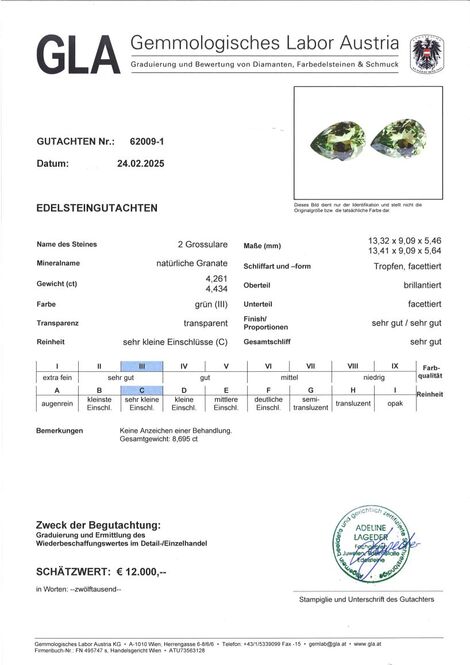 Gutachten zu Garnet Pair Grossulare pear green 8.69 ct.