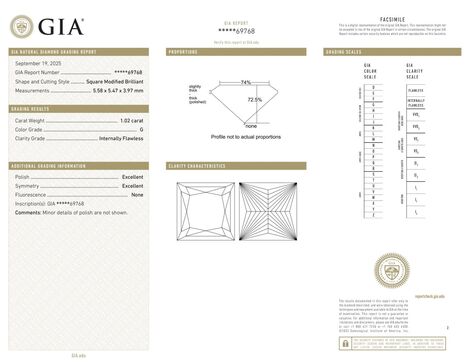 Gutachten zu Diamant Princess feines Weiss G lupenrein 1,02 ct