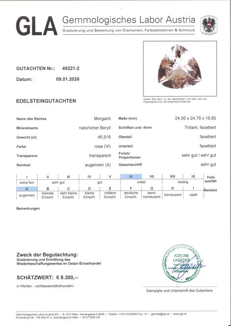 Gutachten zu Morganite trillion 45.51 ct