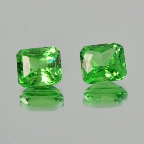 Tsavorit Duo Granate octagon-princess grün 7,40 ct.