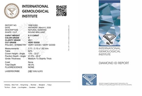 Gutachten zu Diamanten Duo Brillanten weiss vs1 0,22 ct