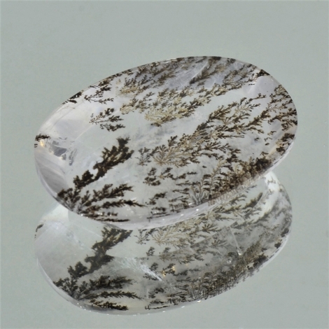 Dendritenquarz, Oval Tafelschliff (19,83 ct.) aus Brasilien Dendritenquarz, Oval Tafelschliff (19,83 ct.) aus Brasilien
