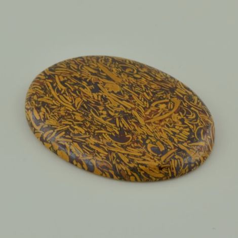 Fossilien, Oval Cabochon (91,73 ct.) aus Indien Fossilien, Oval Cabochon (91,73 ct.) aus Indien