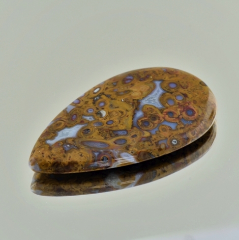 Fossilien Tropfen 42,20 ct