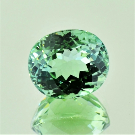 Tourmaline oval mint green 13.37 ct Tourmaline oval mint green 13.37 ct