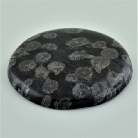 Versteinerte Korallen cabochon round black 91.01 ct