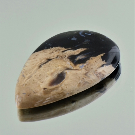 Versteinertes Palmholz cabochon pear 69.05 ct Versteinertes Palmholz cabochon pear 69.05 ct