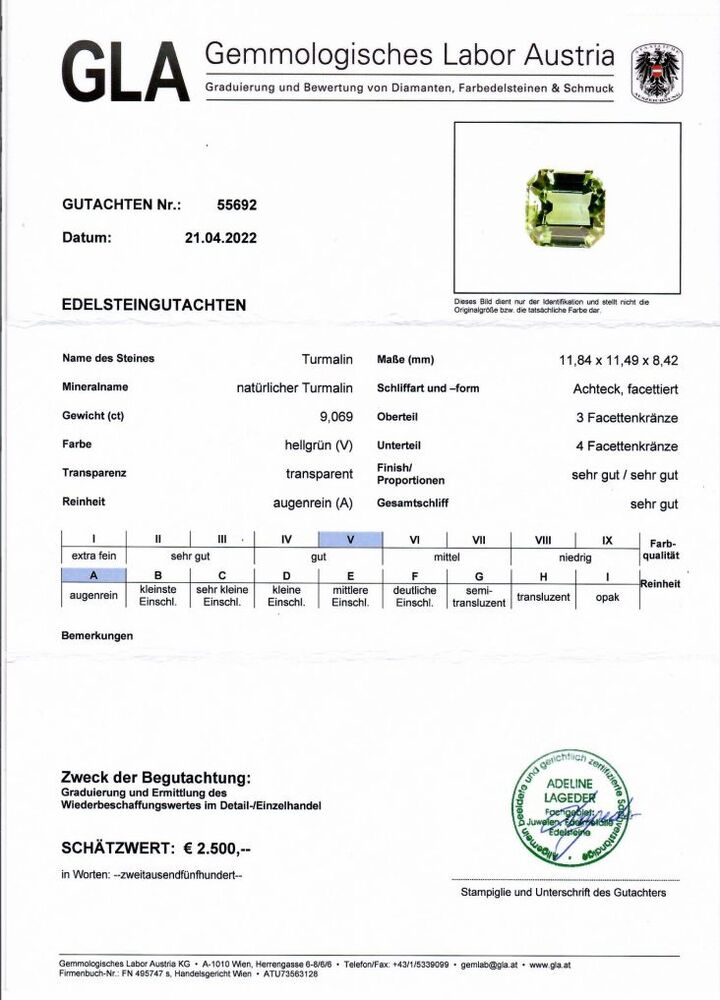Gutachten zu Tourmaline octagon bluish light green 9.06 ct.