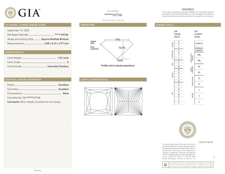 Gutachten zu Diamant Princess feines Weiss G lupenrein 1,02 ct