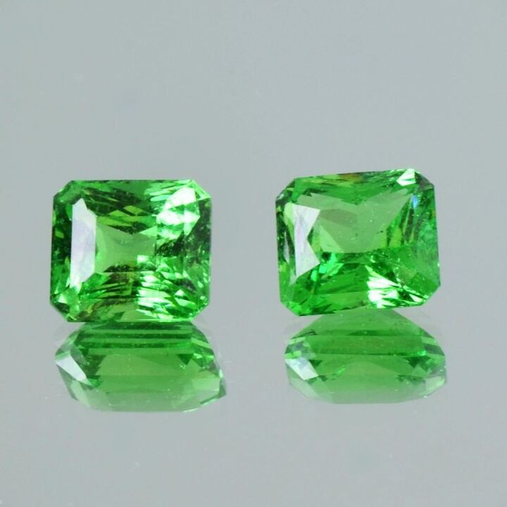 Tsavorit Duo Granate octagon-princess grün 7,40 ct.